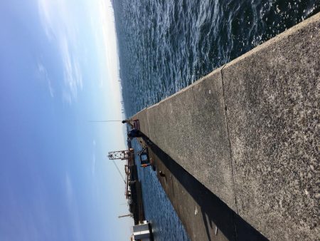 渋い中なんとか太刀魚